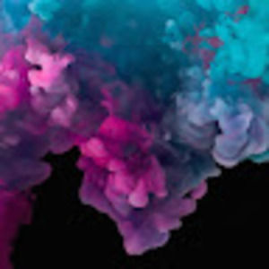 Meet your Posher, Carter